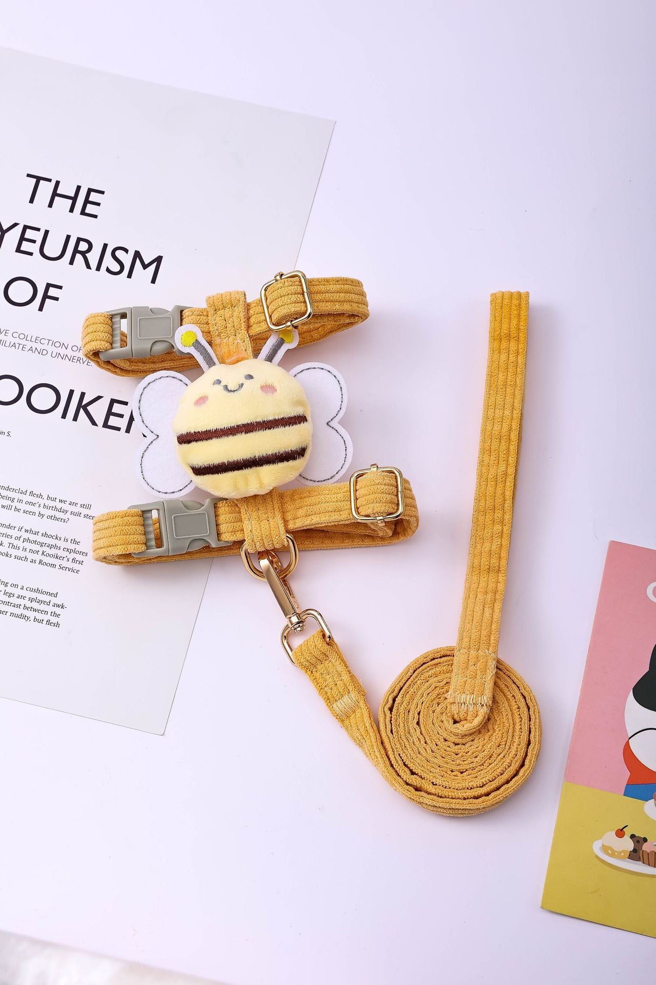 pet beautiful back kit