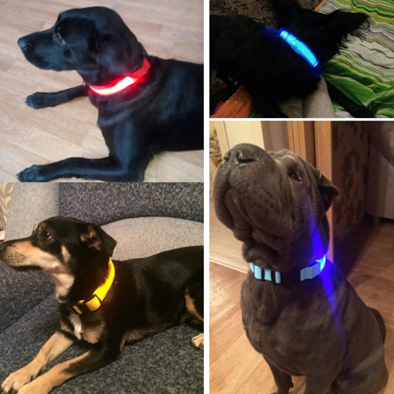 YUDODO Nylon LED Pet Dog Collars for animals Night Safety