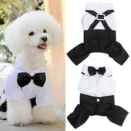 Hot! Pet Dog Cat Clothes Prince Tuxedo Bow Tie Suit