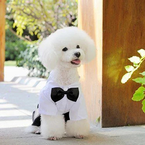 Hot! Pet Dog Cat Clothes Prince Tuxedo Bow Tie Suit