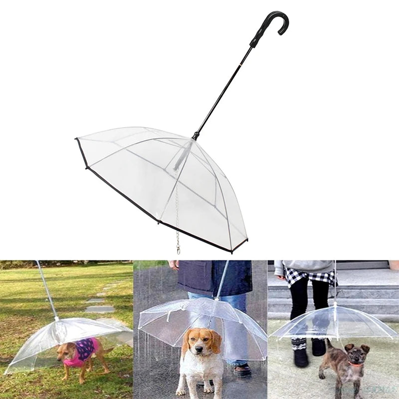 New Transparent Pet Umbrellas Small Dog Umbrella