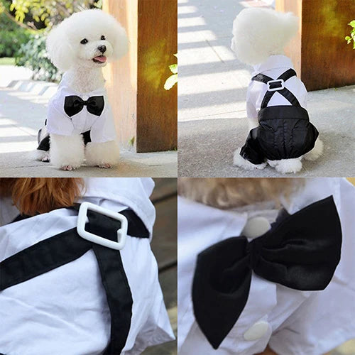 Hot! Pet Dog Cat Clothes Prince Tuxedo Bow Tie Suit