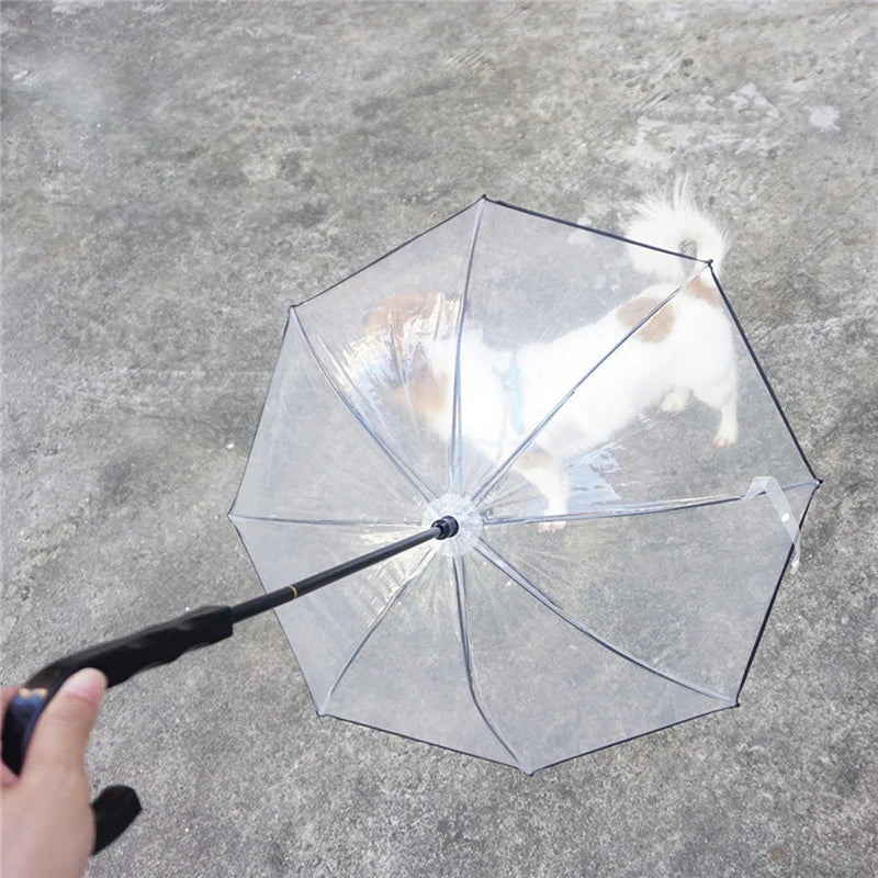 New Transparent Pet Umbrellas Small Dog Umbrella