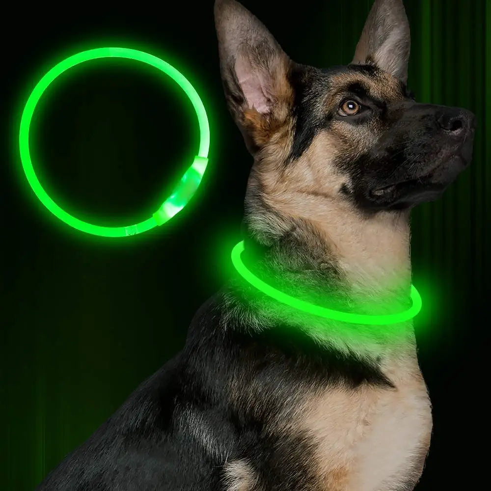 Pet Flashing Collar USB Rechargeable Glowing Necklace