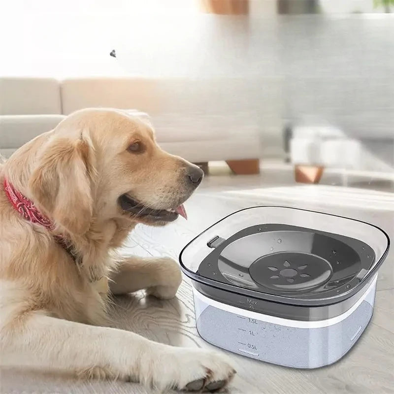 innovative water bowl