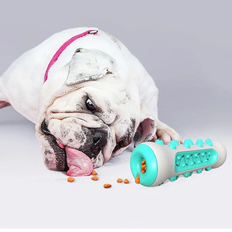 Durable Dog Grinding Stick Cleaning Teeth Elastic