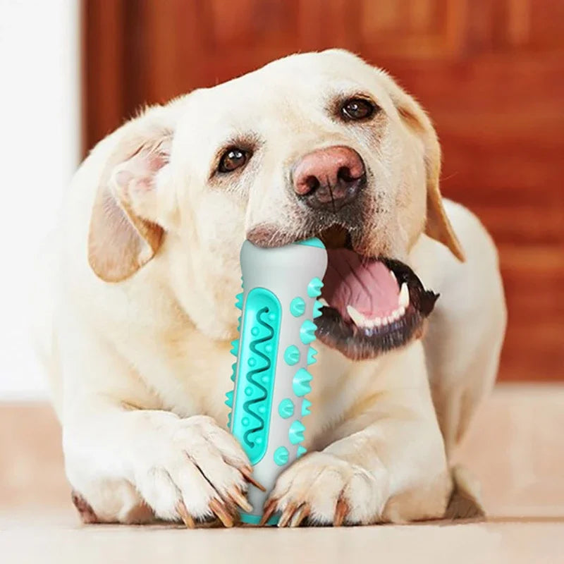 Durable Dog Grinding Stick Cleaning Teeth Elastic