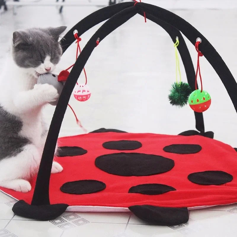 Pet Cat Toy Bed Kitten Tent with 4 Fun Bell Toy