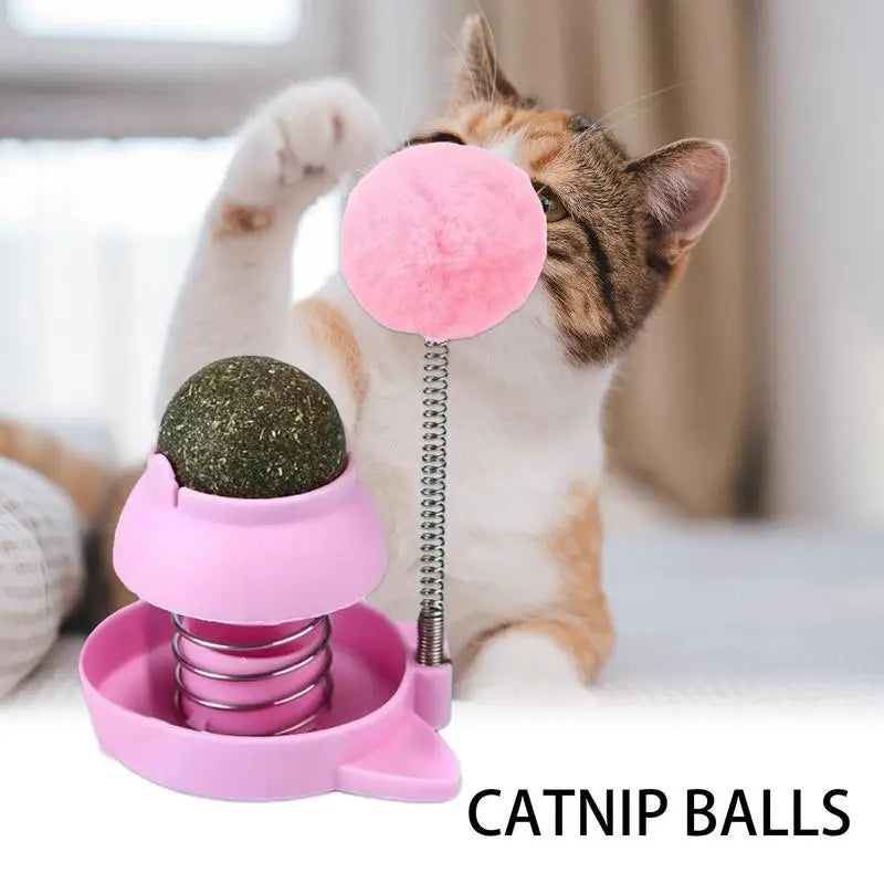 Rotatable Catnip Ball With Spring Ball Kitten Candy Licking Snacks Catnip