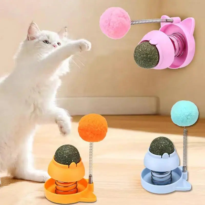 Rotatable Catnip Ball With Spring Ball Kitten Candy Licking Snacks Catnip