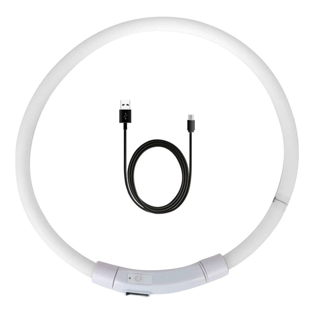 Rechargeable LED Dog Collars