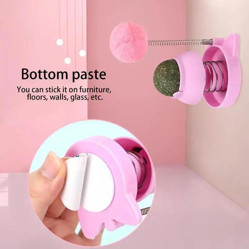 Rotatable Catnip Ball With Spring Ball Kitten Candy Licking Snacks Catnip