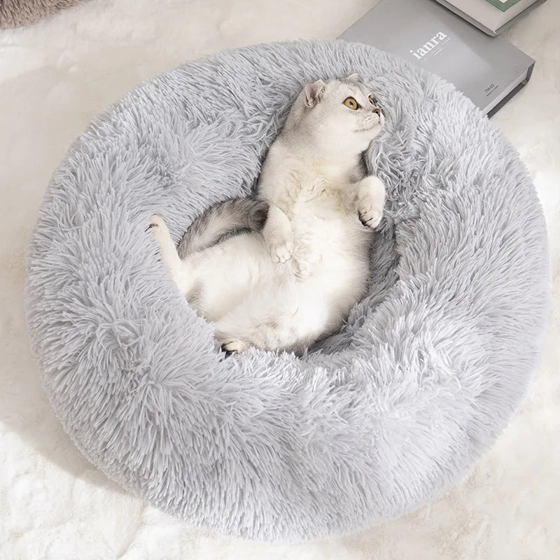 Pet Donut Beds