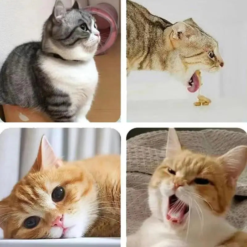 Rotatable Catnip Ball With Spring Ball Kitten Candy Licking Snacks Catnip