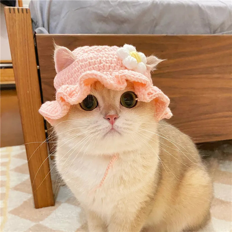 Autumn Winter Cat Hat Elastic Cute Refined Pet Hat