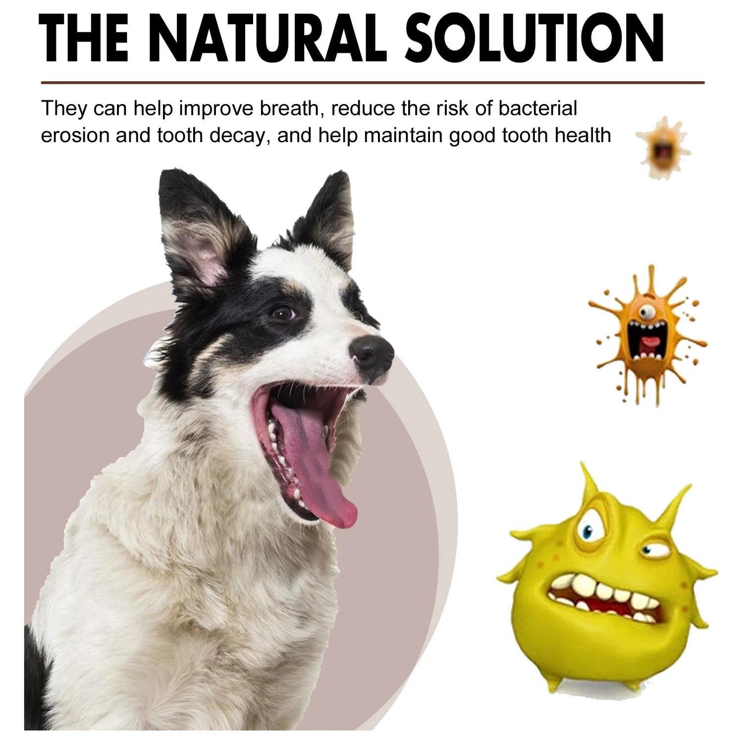 Pet Tooth Cleaning Spray Dogs Remove Bad Breath