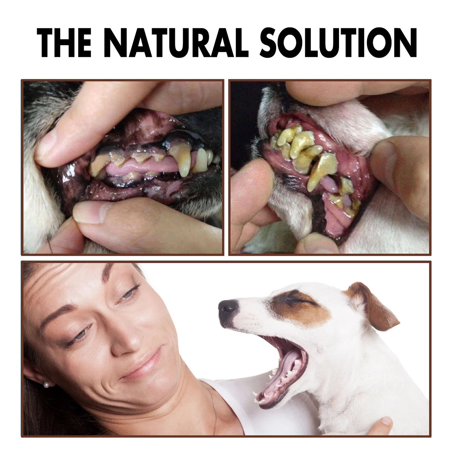 Pet Tooth Cleaning Spray Dogs Remove Bad Breath
