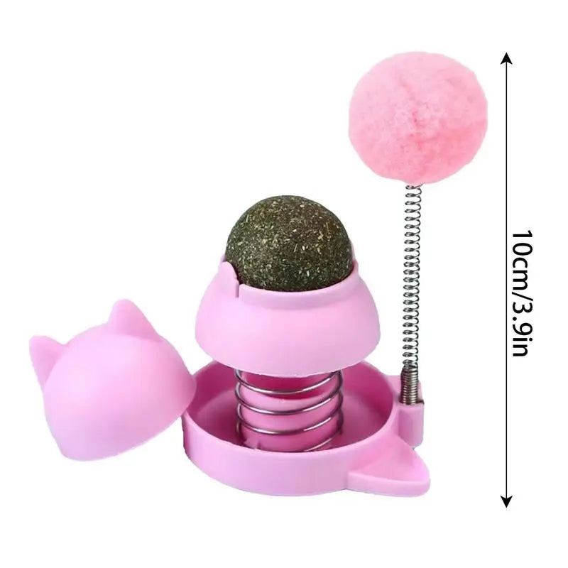Rotatable Catnip Ball With Spring Ball Kitten Candy Licking Snacks Catnip