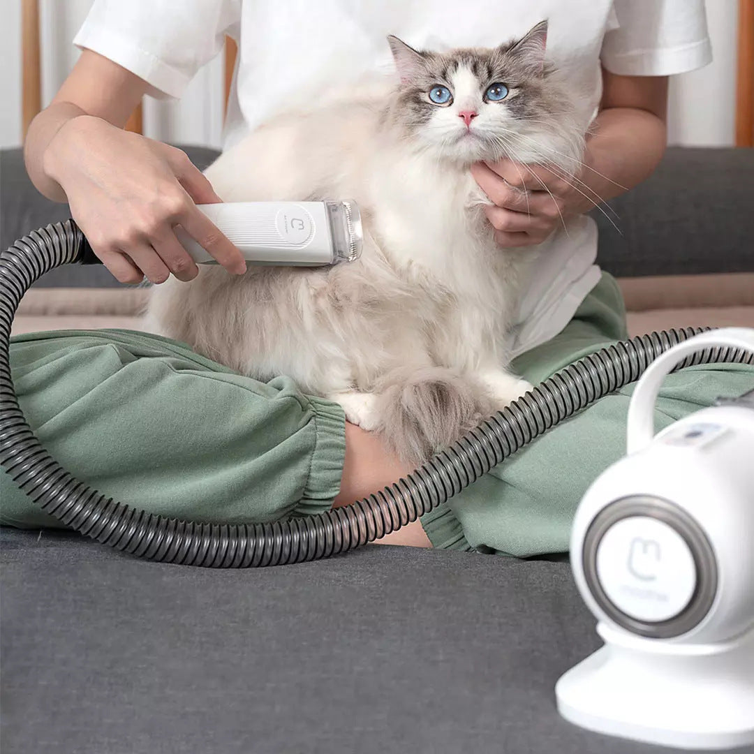 Pet Rasieren Smart Grooming Und Haar Sucker