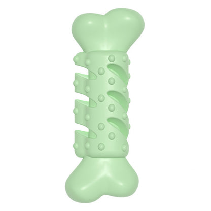 Dog chewing bone