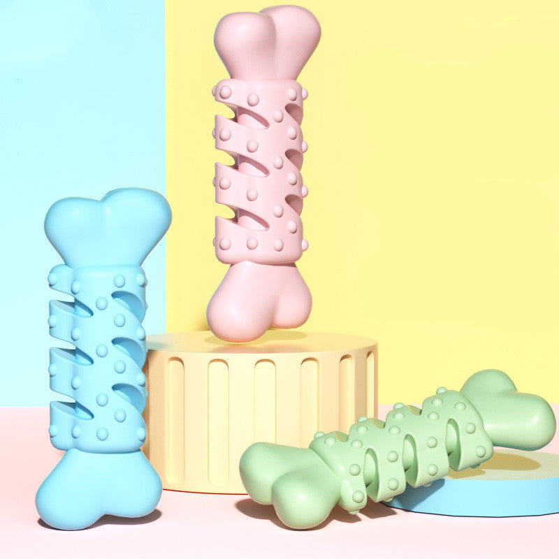 Dog chewing bone