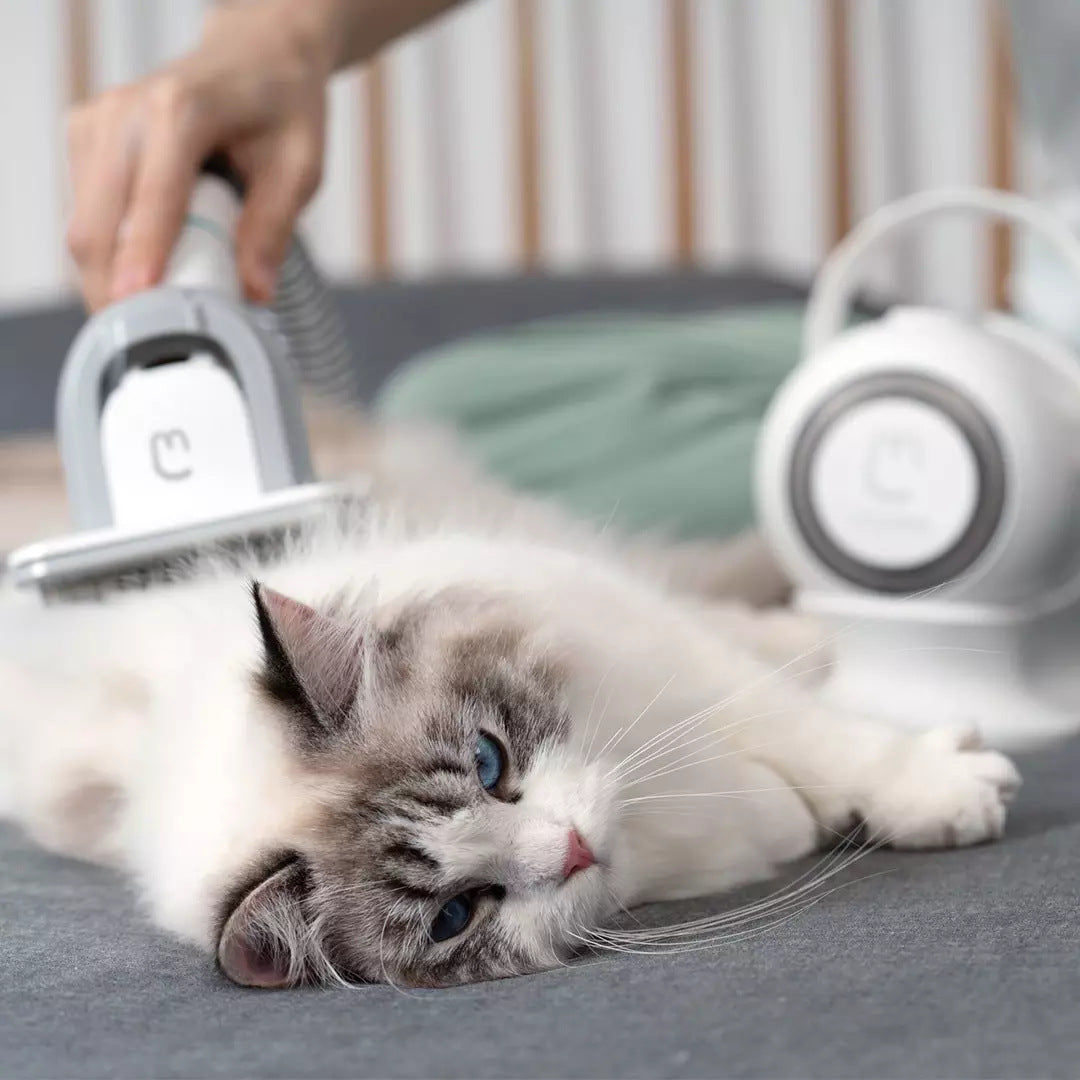 Pet Rasieren Smart Grooming Und Haar Sucker