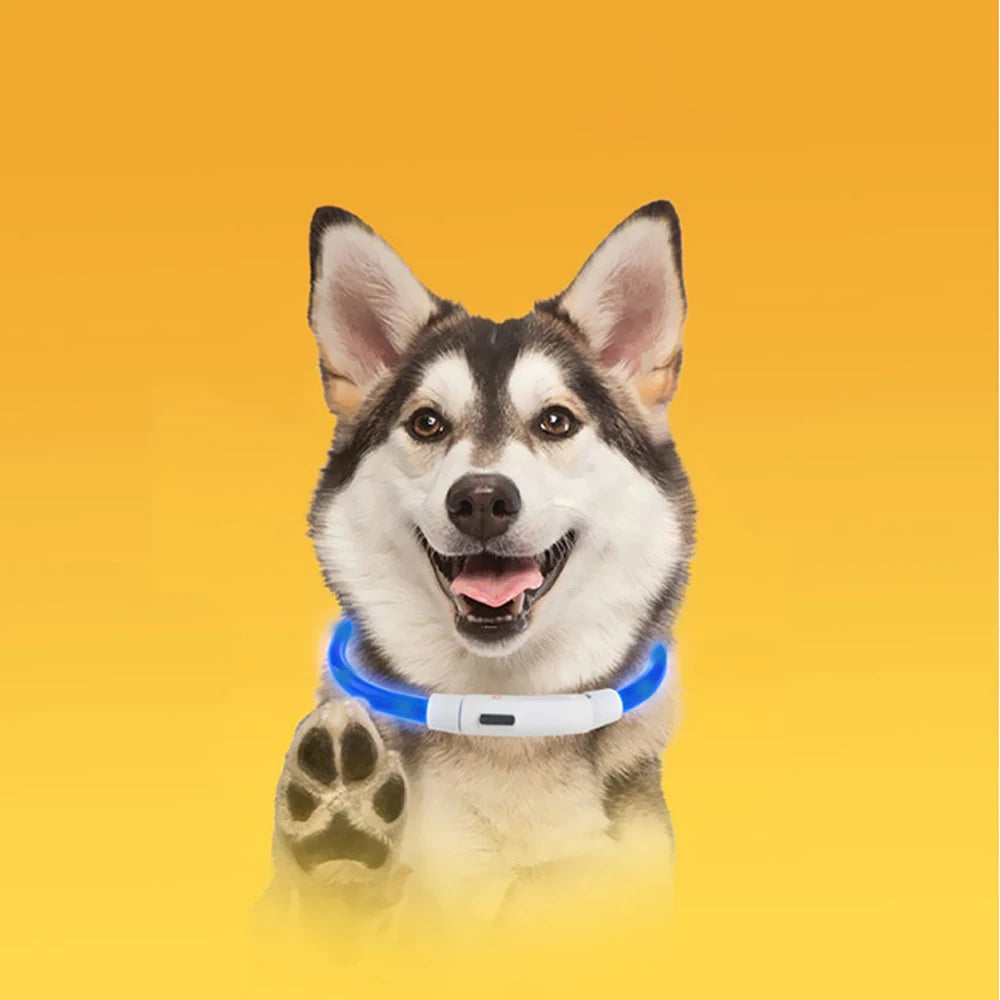 Rechargeable LED Dog Collars