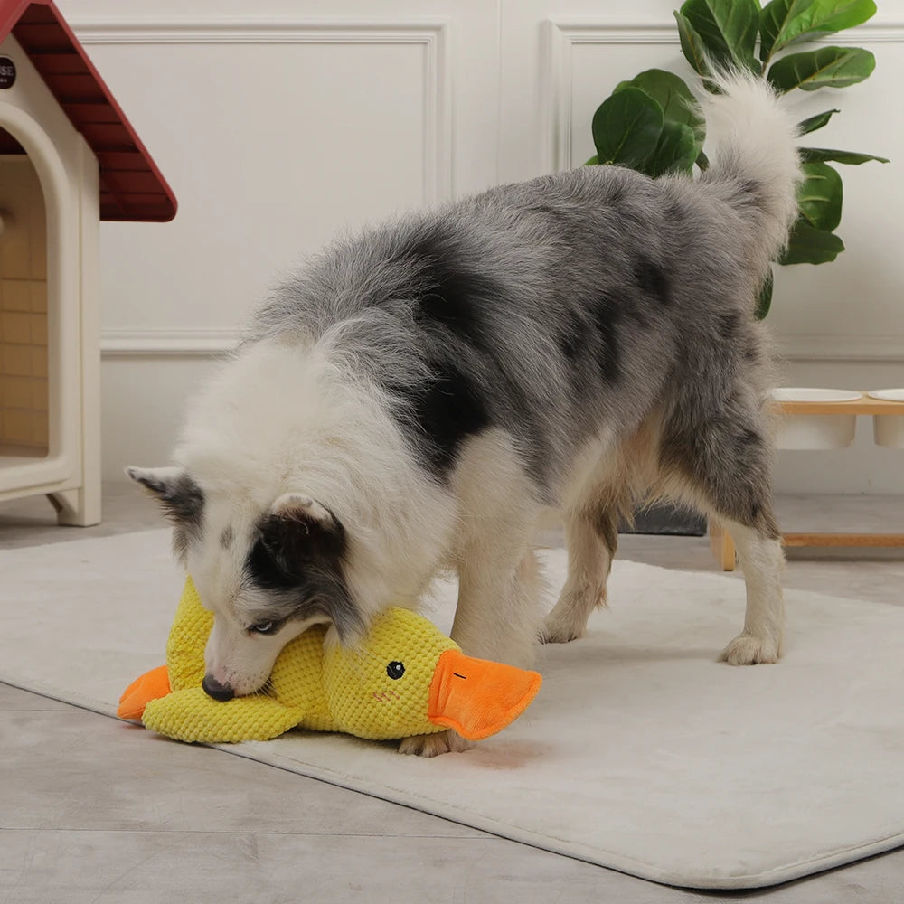 HOOPET Dog Sleeping Toy Duck Chew Sounding Toy