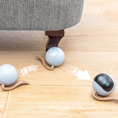 Smart Interactive Cat Toy Colorful LED