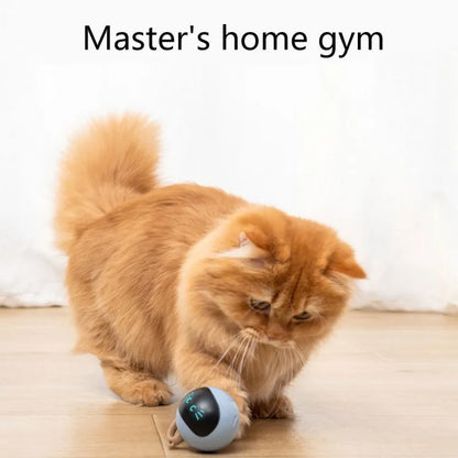 Smart Interactive Cat Toy Colorful LED