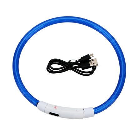 Rechargeable LED Dog Collars