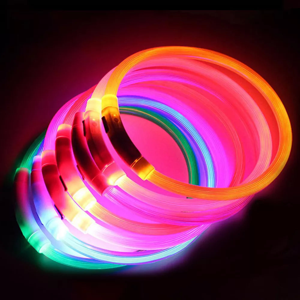 Rechargeable LED Dog Collars