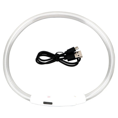 Rechargeable LED Dog Collars