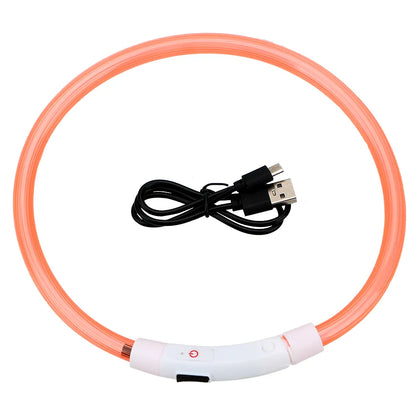 Rechargeable LED Dog Collars