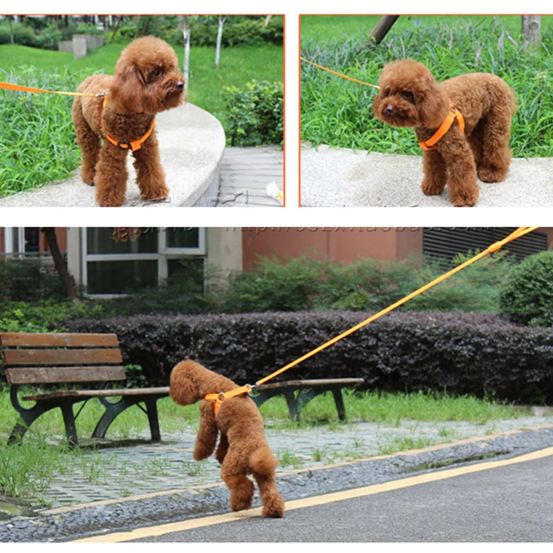 Nylon Pet Safety Harness Dog Accessories Flashing Light Harness L