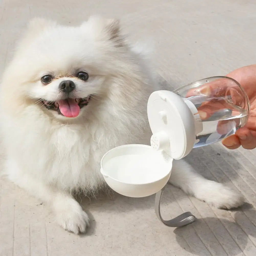 300ml Outdoor Portable Traveling Cup Water Bottle
