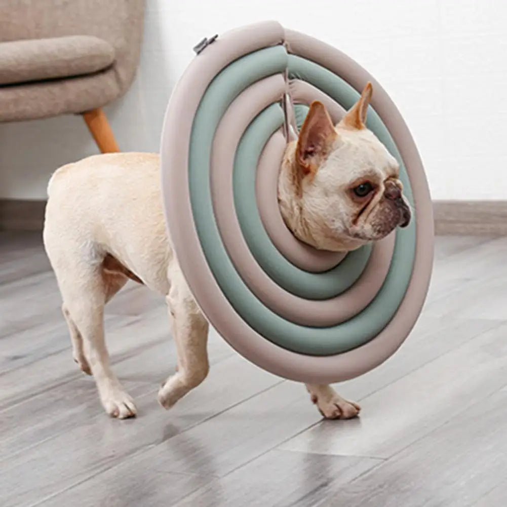 Pet Cat Surgery Wound Collar Healing Protective Cone Puppy