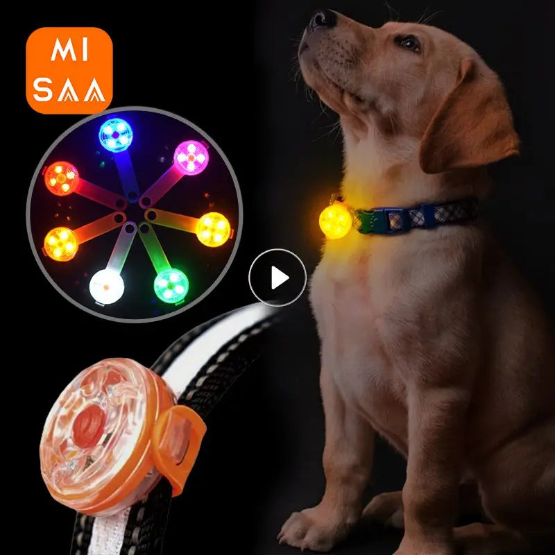 Waterproof LED Pet Dog Cat Collar Pendant Night Safety Luminous Light