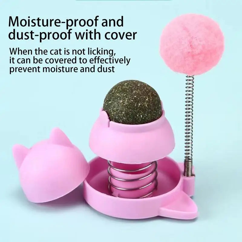 Rotatable Catnip Ball With Spring Ball Kitten Candy Licking Snacks Catnip