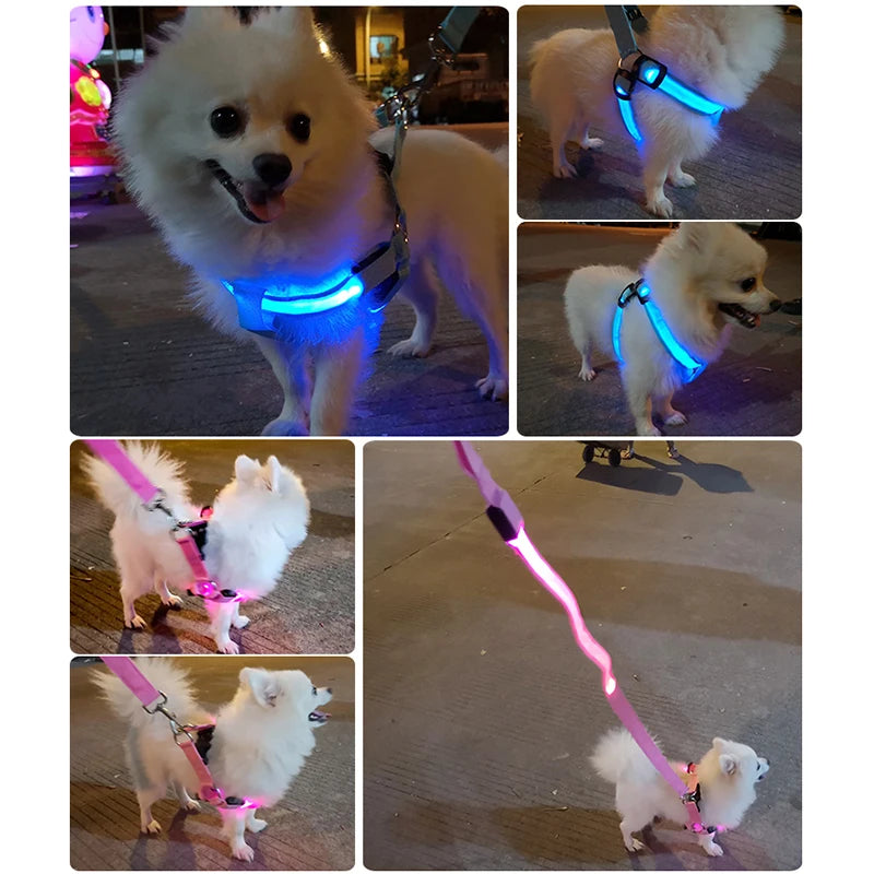 Nylon Pet Safety Harness Dog Accessories Flashing Light Harness L