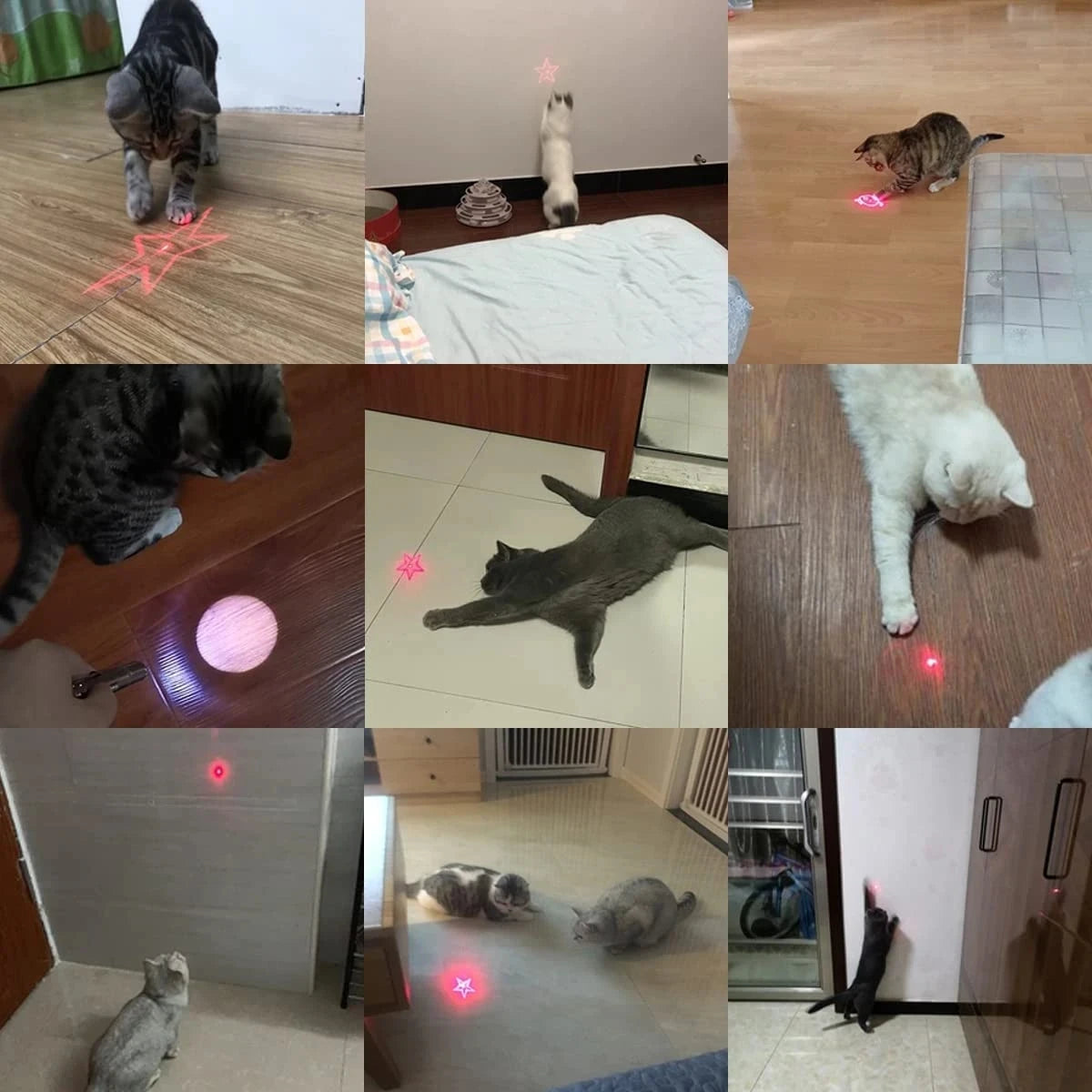 Pet Toys Cat USB Rechargeable Multifunctional Pet Laser