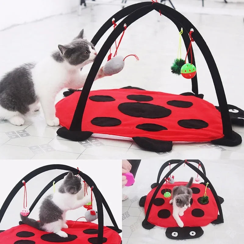 Pet Cat Toy Bed Kitten Tent with 4 Fun Bell Toy