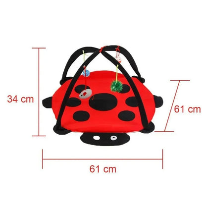 Pet Cat Toy Bed Kitten Tent with 4 Fun Bell Toy