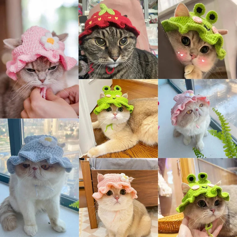 Autumn Winter Cat Hat Elastic Cute Refined Pet Hat