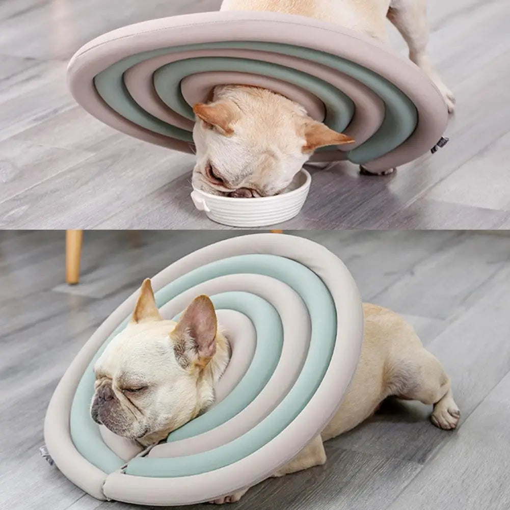Pet Cat Surgery Wound Collar Healing Protective Cone Puppy