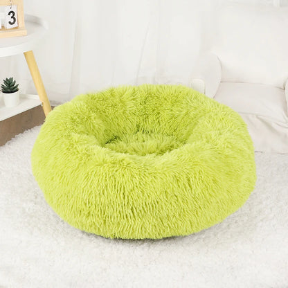 Pet Donut Beds