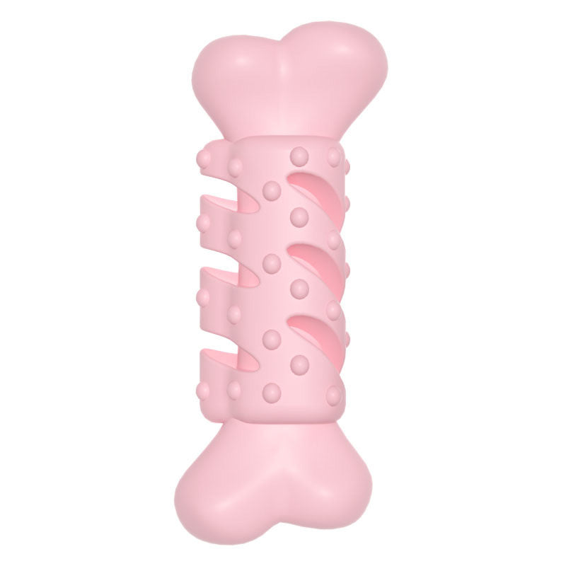 Dog chewing bone