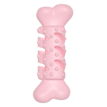 Dog chewing bone