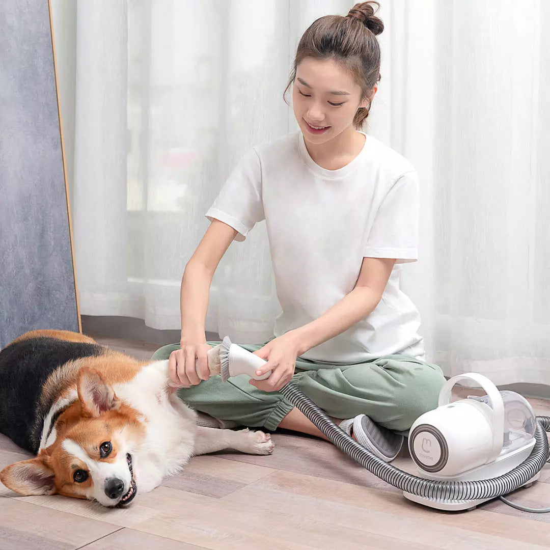 Pet Rasieren Smart Grooming Und Haar Sucker