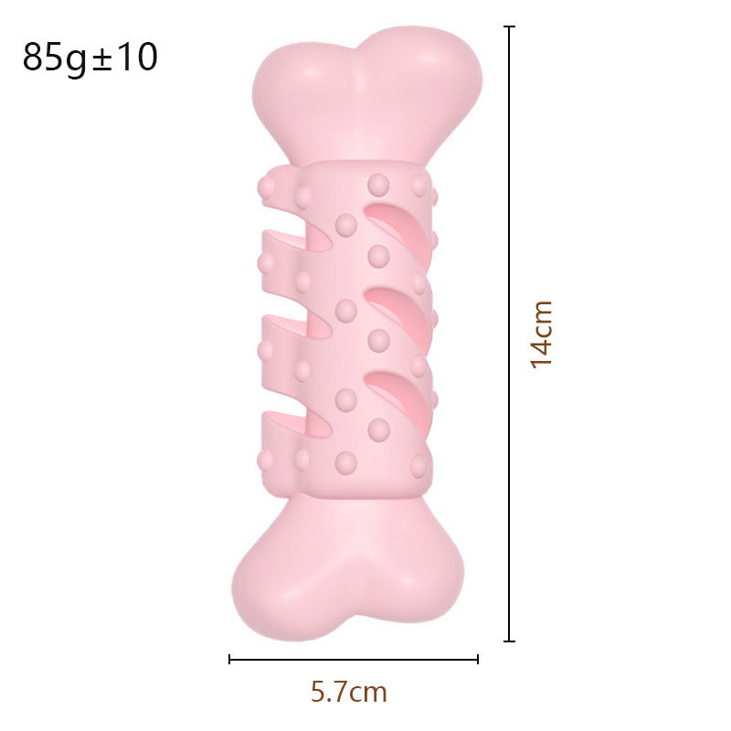 Dog chewing bone